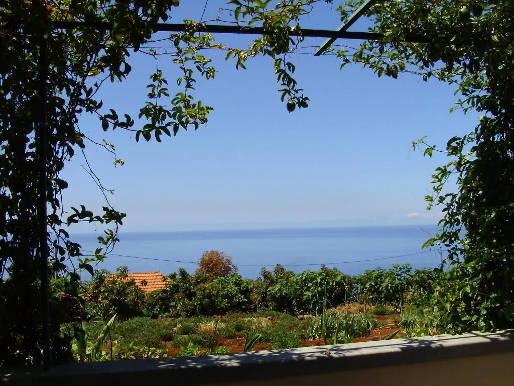 Casa Nossa Senhora Da Conceicao 호텔 Estreito Da Calheta 게스트하우스